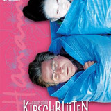 kirschbluten hanami