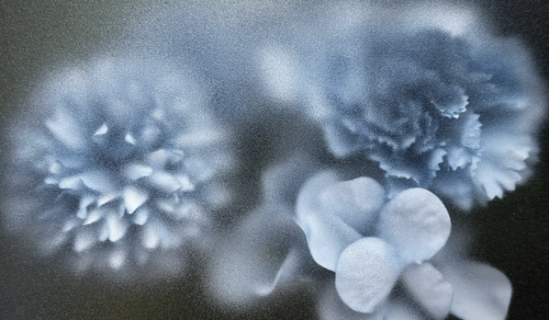 IMG 20260811 170519