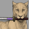 IMG 1291.png