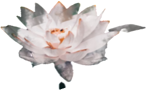 retouch 2026081400251580.png