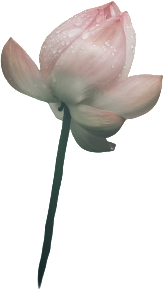 retouch 2026081400314157.png