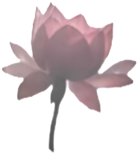 retouch 2026081400354111.png