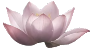 retouch 2026081400284801.png