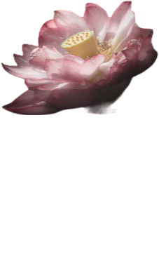 retouch 2026081400324662.png