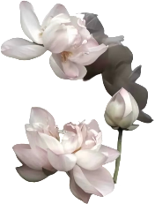 retouch 2026081400344066.png