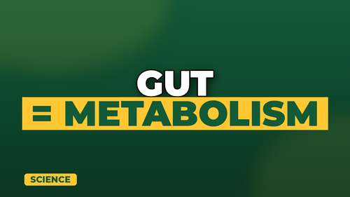 thumb gut health and metabolism connection landscape.png