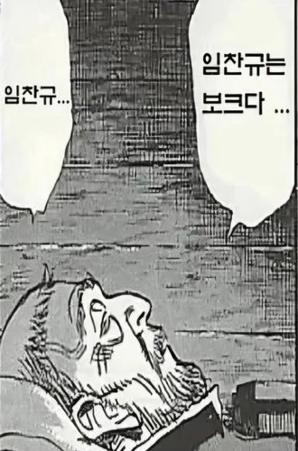 29akqp1ppsjwesn.jpg