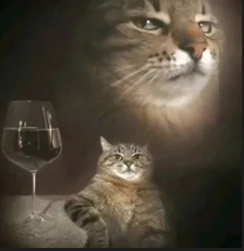 177f9c12c4f7.jpg