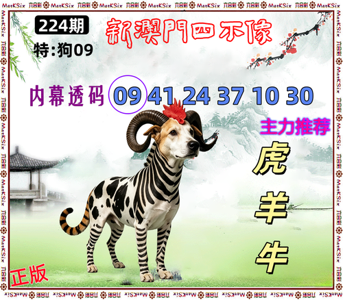 224.png