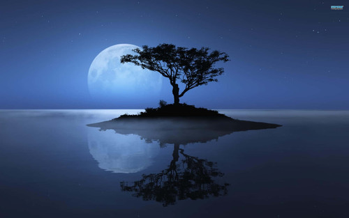 enjoying a beautiful blue desktop background bmd3lozsj4hayi7v.jpg
