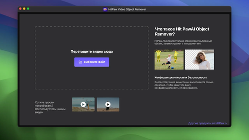 hitpaw video object remover.png