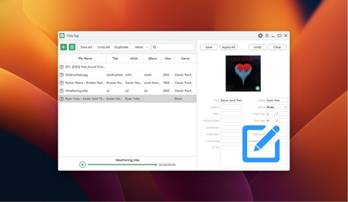 tidytag music tag editor.png