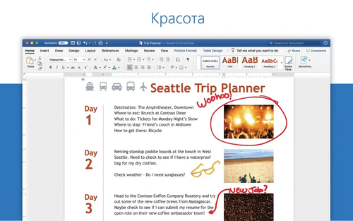 microsoft office 2019.png