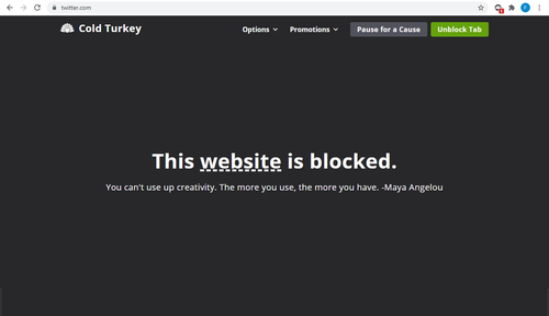 cold turkey blocker pro.png