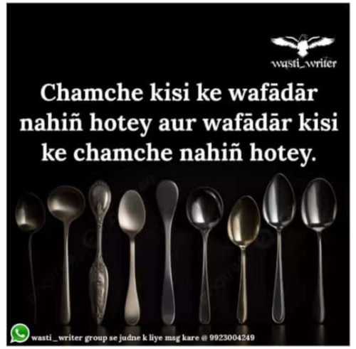 53b6f7a0f672.jpg
