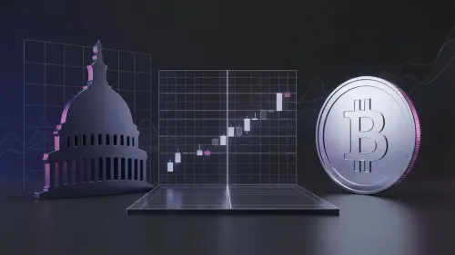 congress shutdown risk december bitcoin.webp