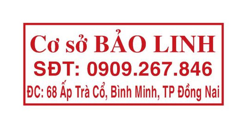 bao linh.jpg
