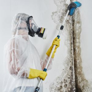 Best Damp Removal Services in North Camp.jpg