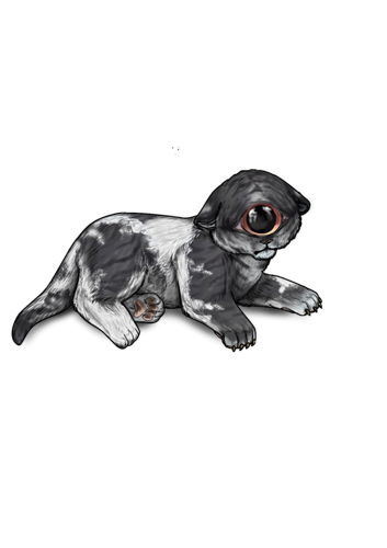 Untitled617.png