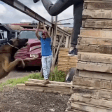 1786436842572972.gif
