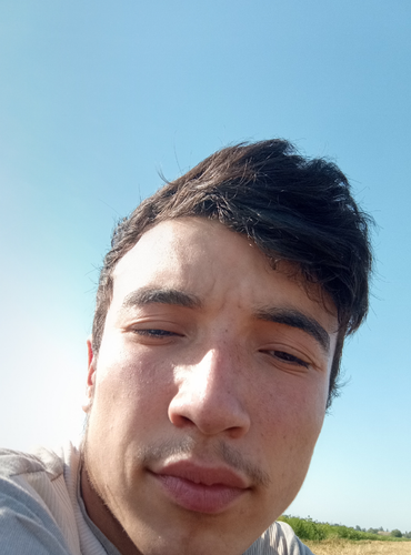 temp.png