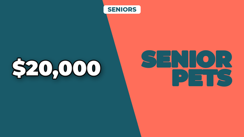 thumb pet insurance for senior pets landscape.png
