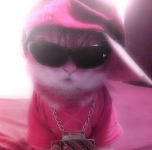 temp.png