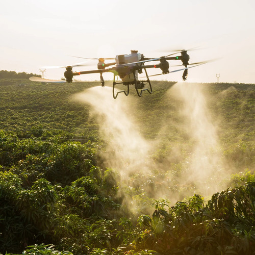 spray orchard.jpg