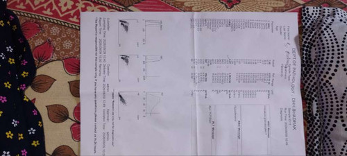 4ebc4d04ac8f.jpg