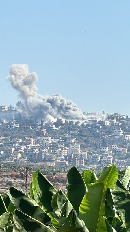 صورة الخبر