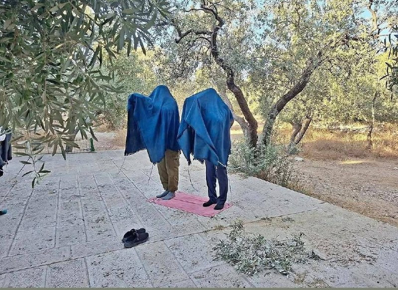 صورة الخبر
