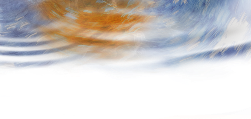 IMG 2997.png