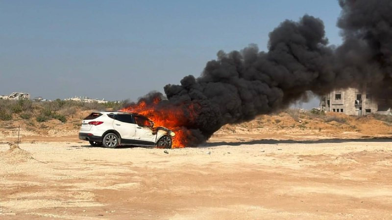 صورة الخبر