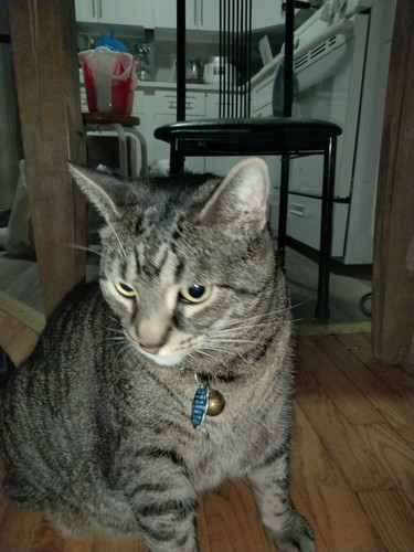 IMG20260715195229.jpg