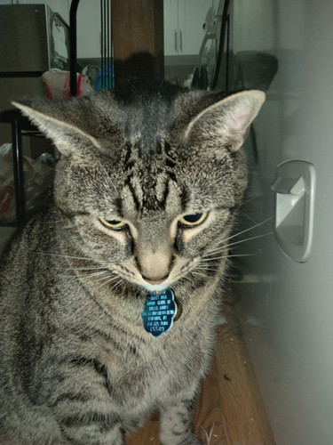IMG20260715195325.jpg