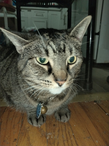 IMG20260715195518.jpg