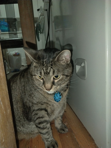 IMG20260715195258.jpg