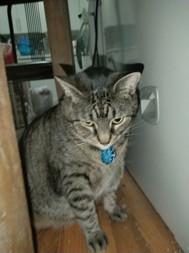 IMG20260715195311.jpg