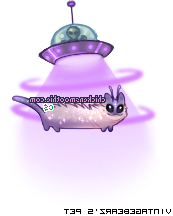 IMG 6524.png