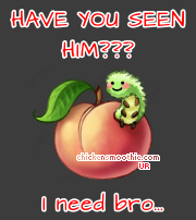 IMG 6527.png
