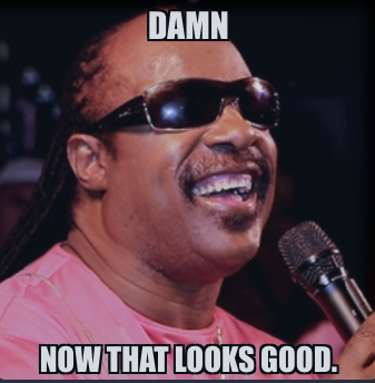 stevie looks good.png