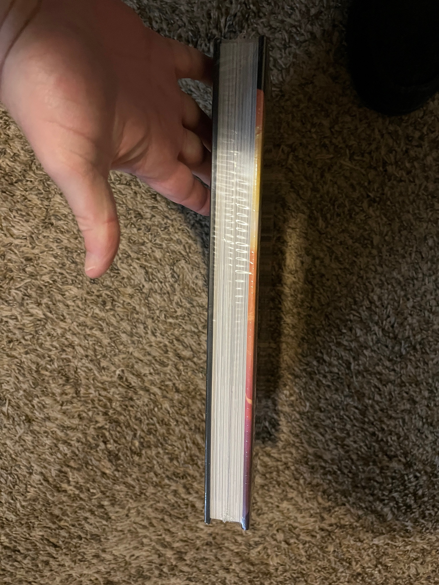 Artbooks & Gaming books |OT| A new era, a new shelf OT | Page 252