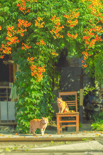 9d47bc19gy1idsxbyhhdij215n1qfkjl.jpg