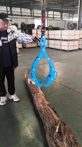 main.jpg