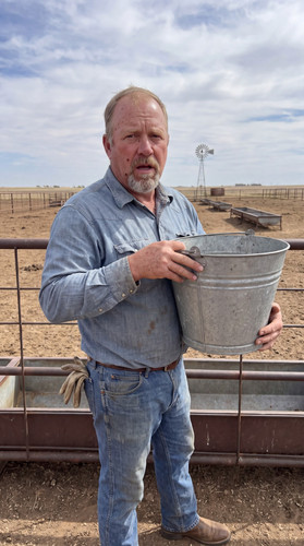 cv17 terry feedlot.jpg