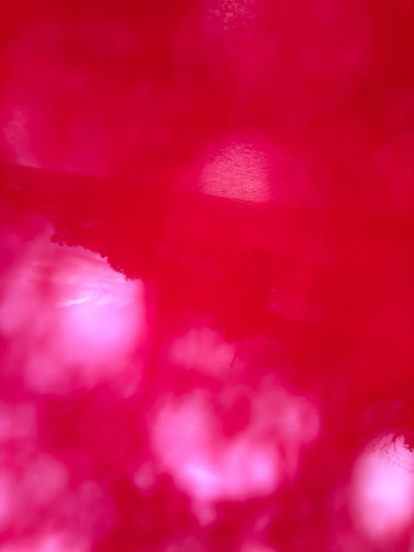 c5e9949e5155.jpg