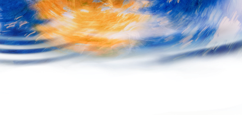 IMG 8336.png