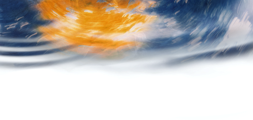 IMG 8337.png