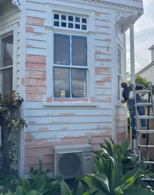 Best service for Property Maintenance in Rothesay Bay.jpg