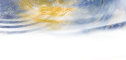 IMG 2996.png